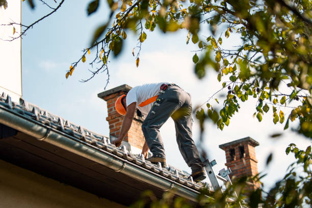 Best Roof Repair Services  in Bessemer, MI